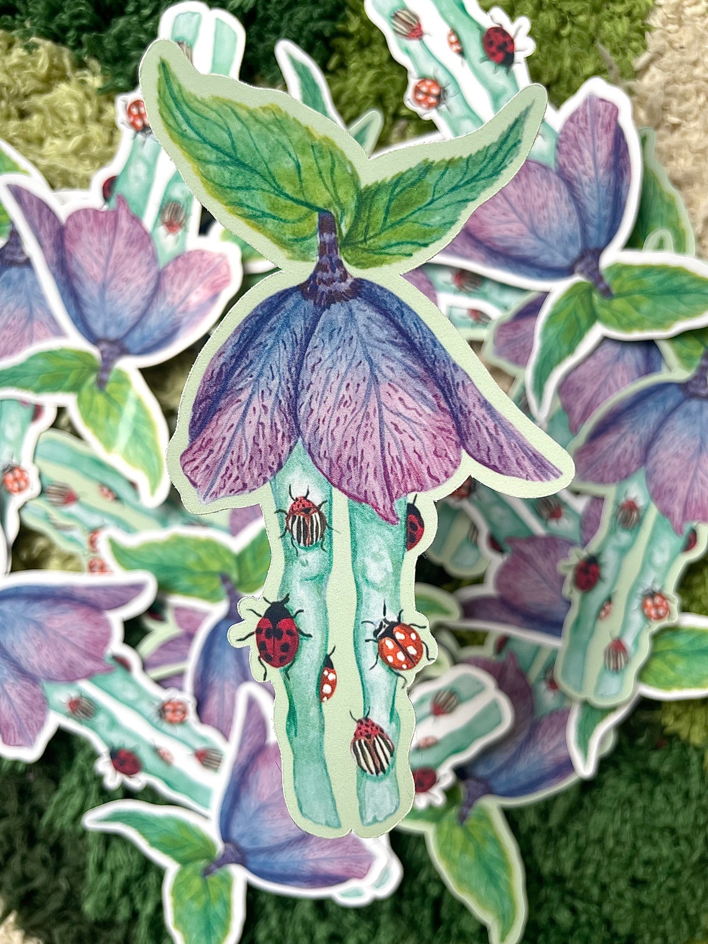 “Bug Tights” Sticker