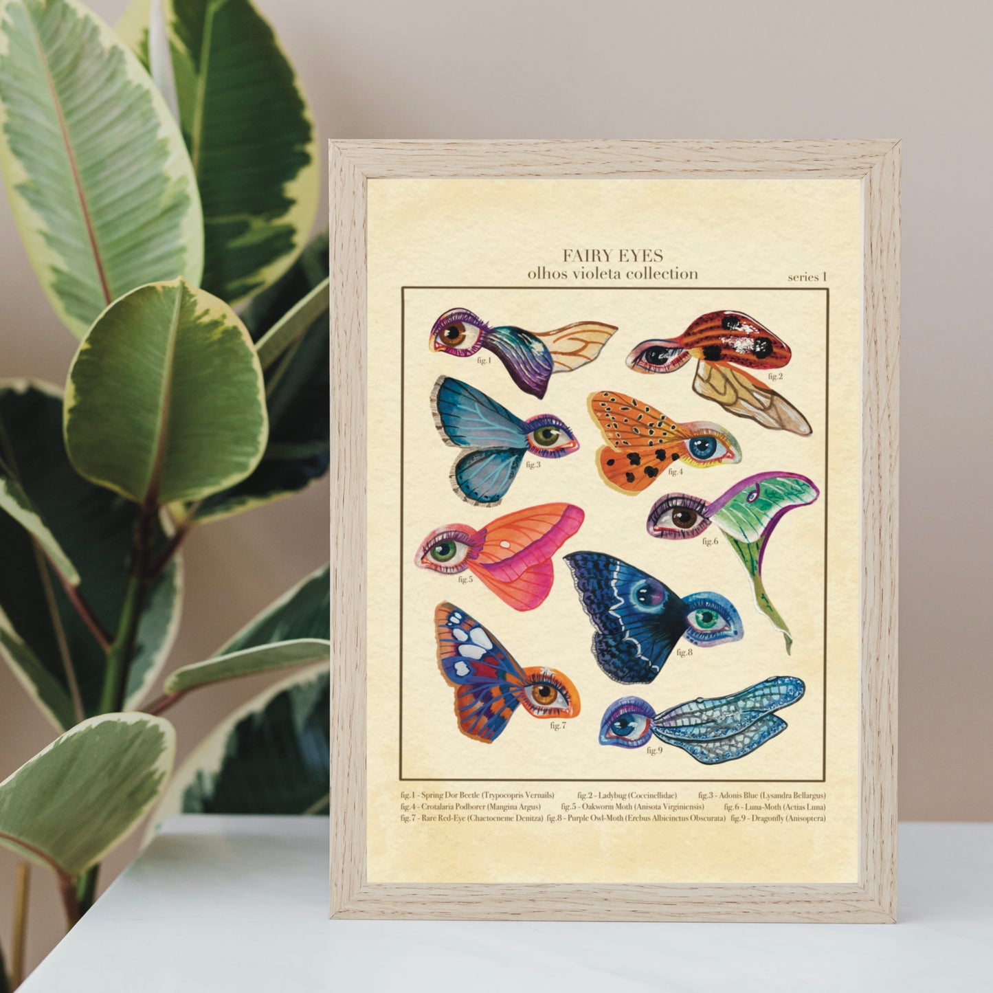 Fairy Eyes Art Print