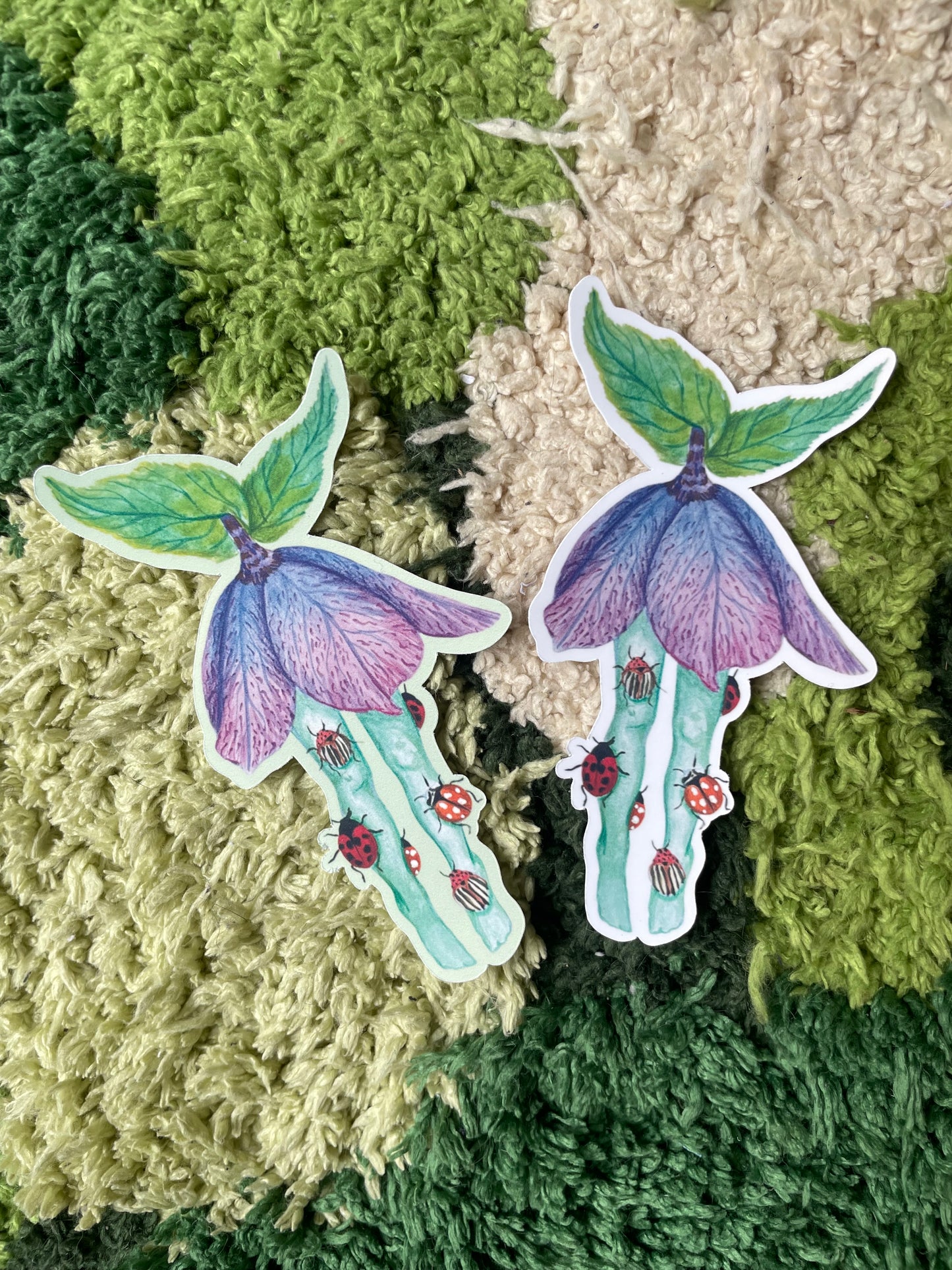 “Bug Tights” Sticker