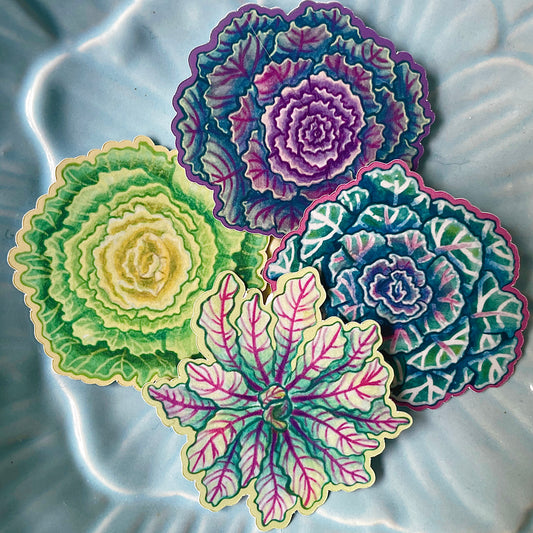 Brassica stickers: set of 4 includes A6 mini print and a note card