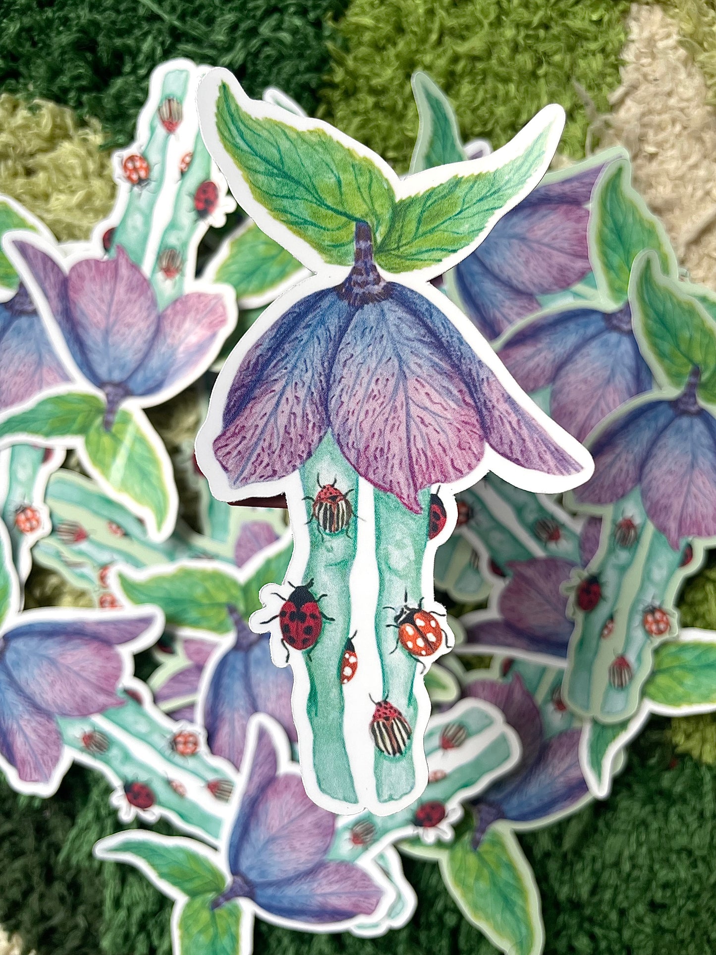 “Bug Tights” Sticker