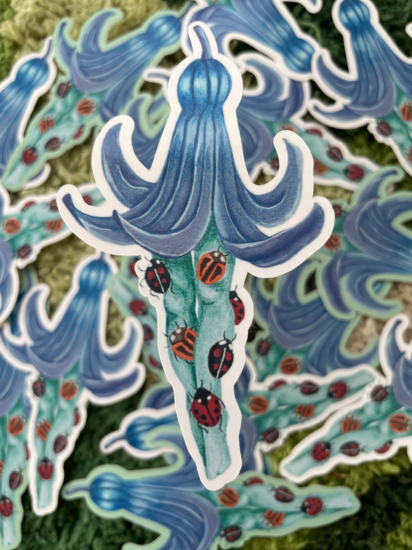 “Bug Tights” Sticker
