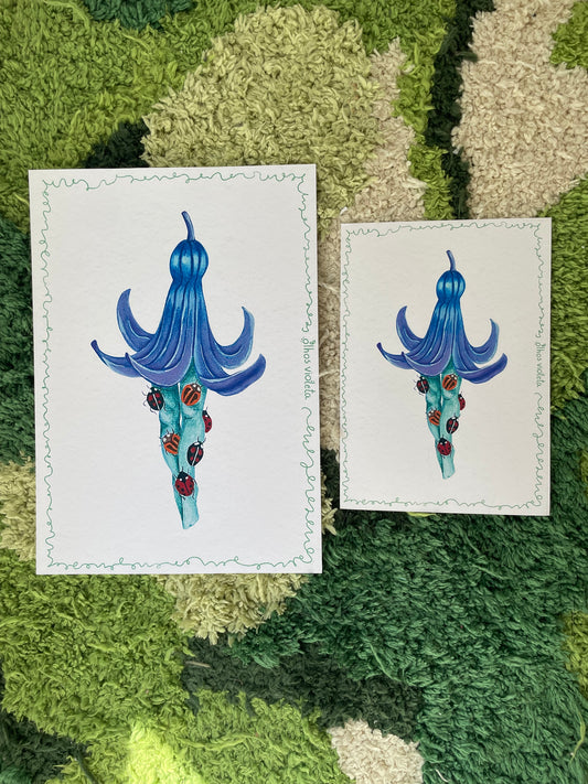 Set of 2 “Bug Tights” Stickers and a Print