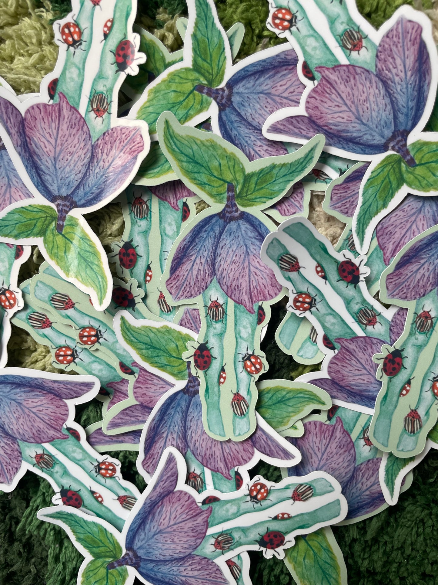 “Bug Tights” Sticker