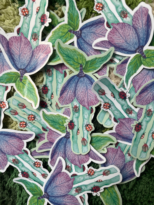 “Bug Tights” Sticker